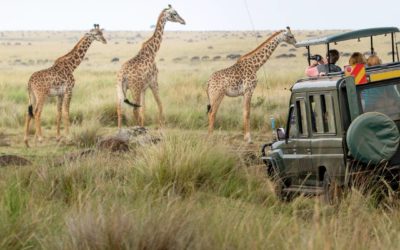 More Travati members have been exploring African countries due to COVID-19 and now Kenya is offering safaris with a twist- Travel is calling you!