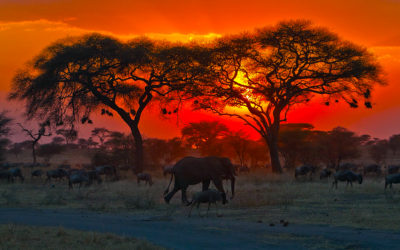 Travati found out these 10 things you should know before travelling in Africa.
