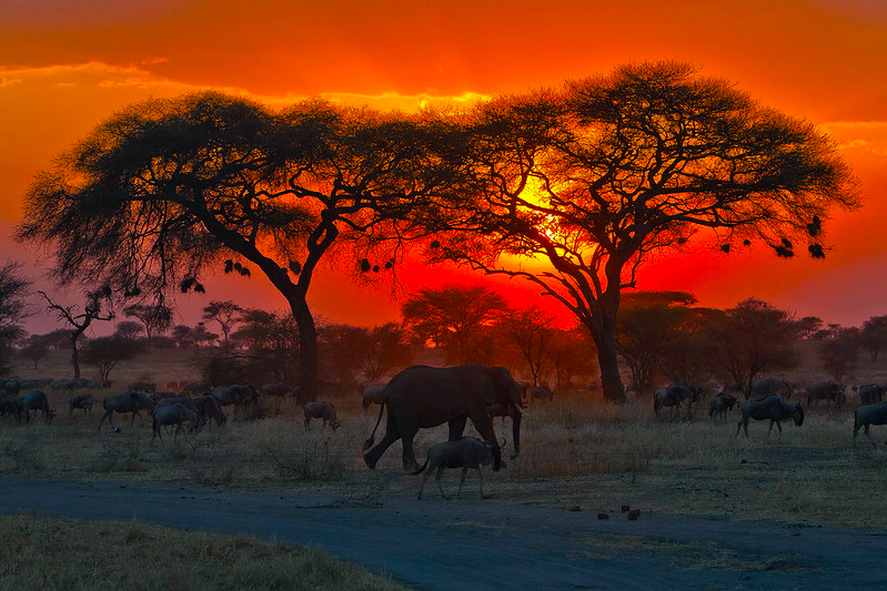 african sunset